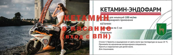 прущие крисы Белокуриха