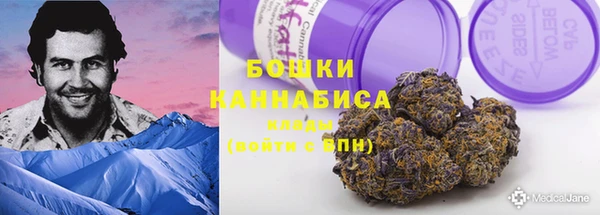 мдпв Волоколамск