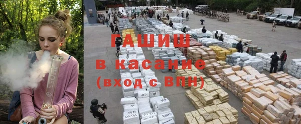 a pvp Бородино