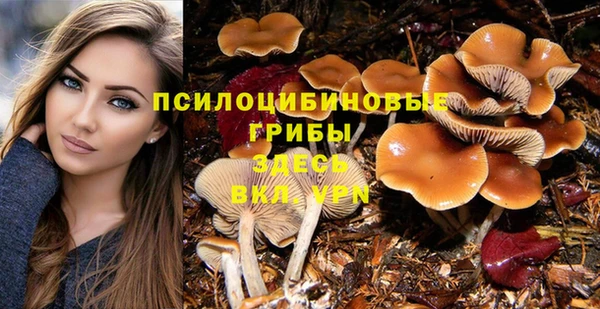 a pvp Бугульма